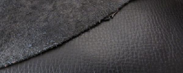 天跃·森林氧beat365平台